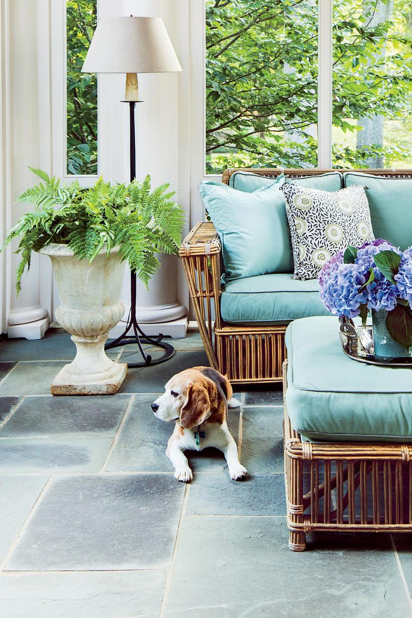 Jane Schwab porch with Beagle