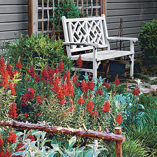 червен wildflowers in a garden landscape with a teak bench set against a wall in the corner of the garden