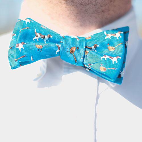 Modrý Bird Dog Bow Tie