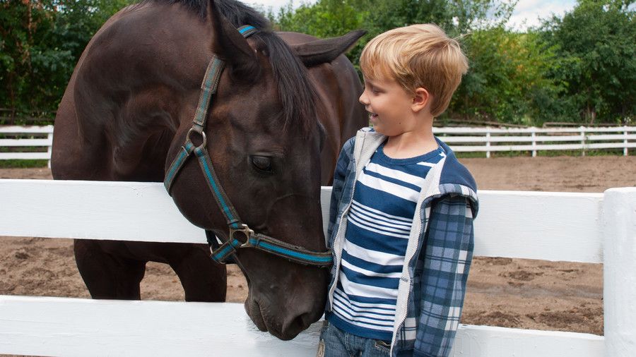 млад boy with brown horse