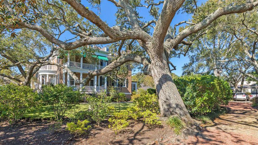 استعماري Brick Home Charleston Oak Trees