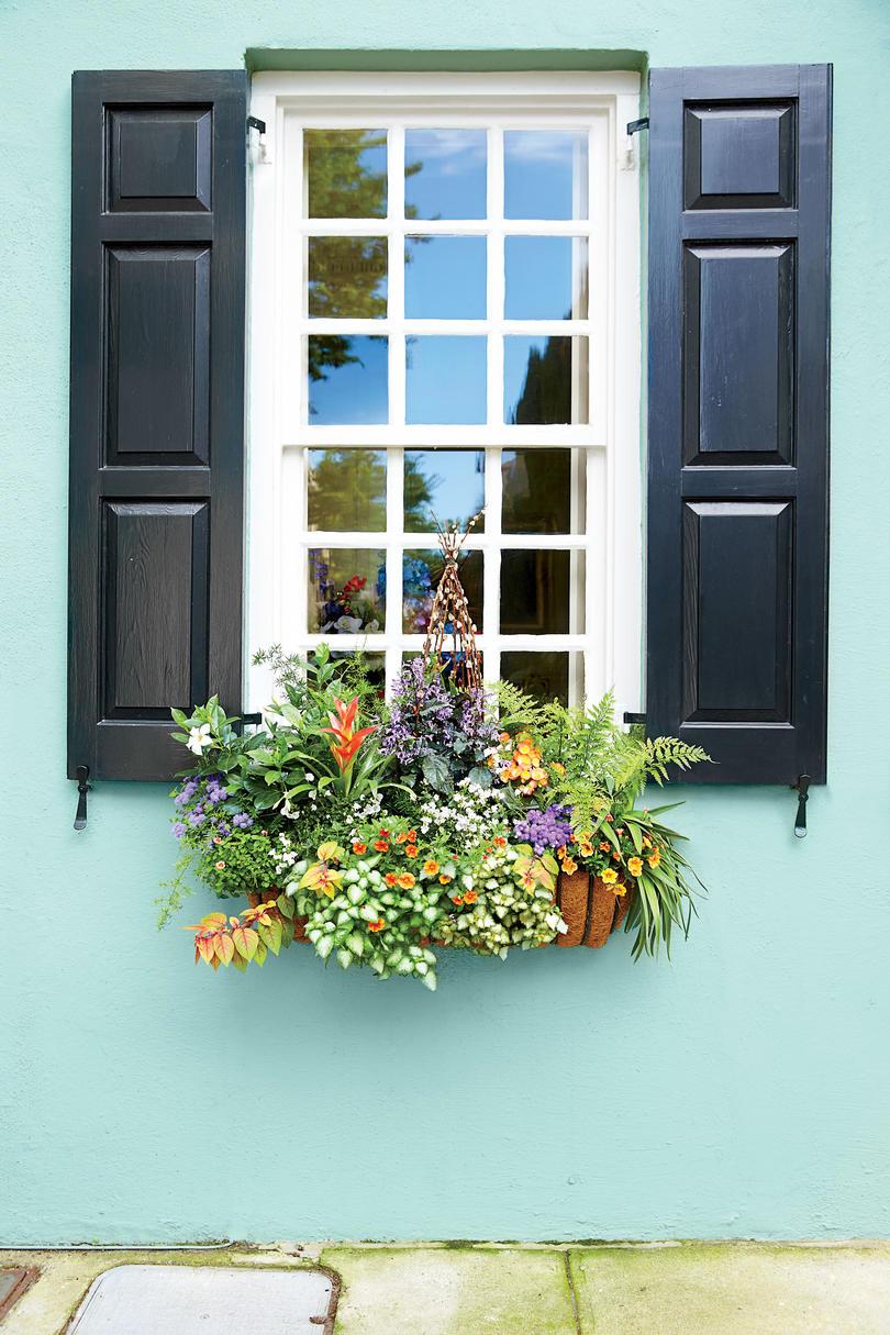 明るい Mini Garden Window Box