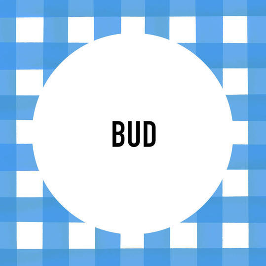 جنوبي Pet Name: Bud