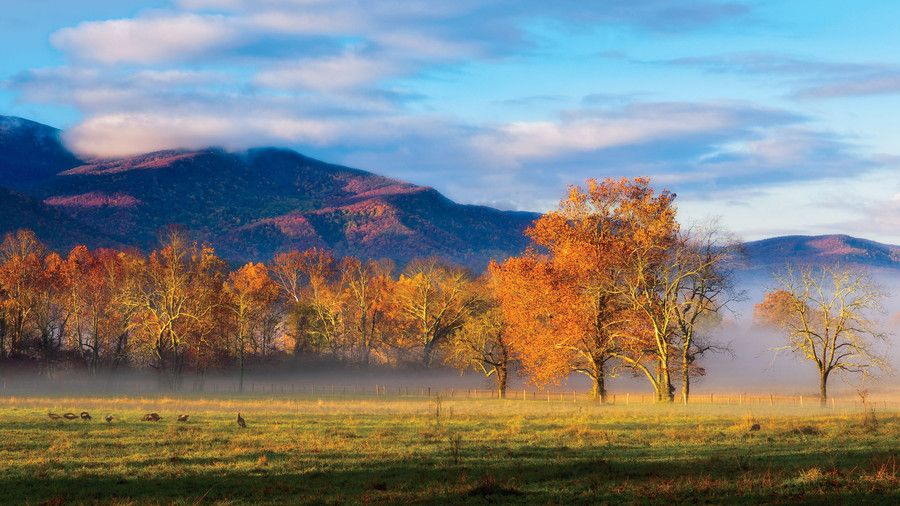 Cades Cove in Tennessee Mountain View