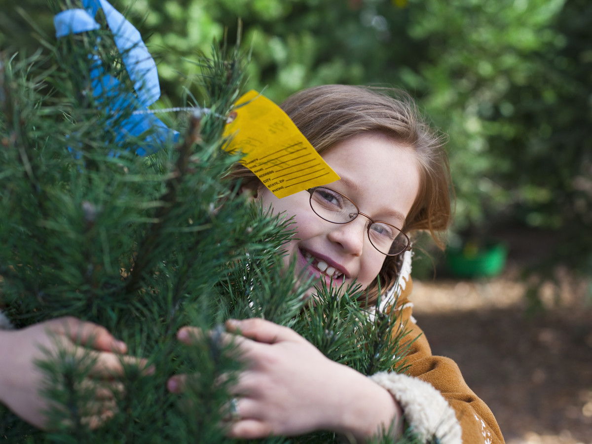 Niño at Christmas Tree Farm