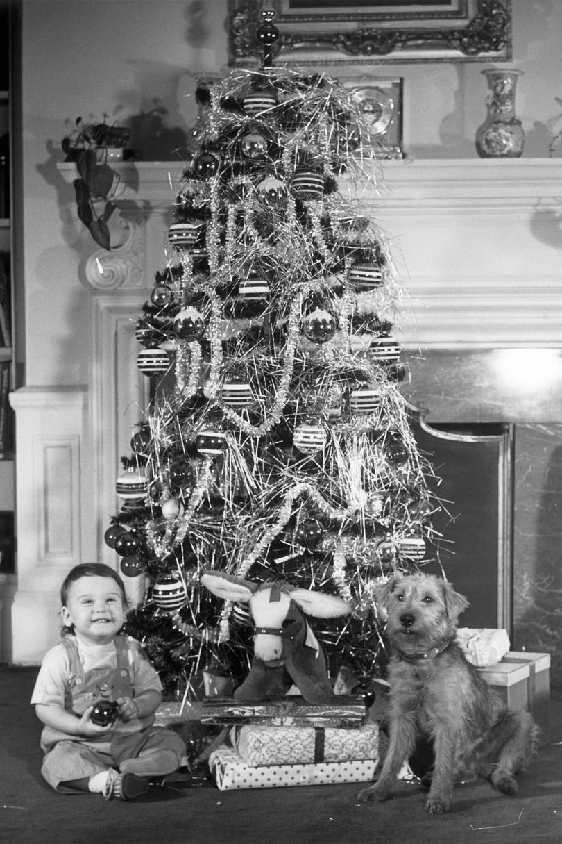 Коледа Tree with Boy and Dog
