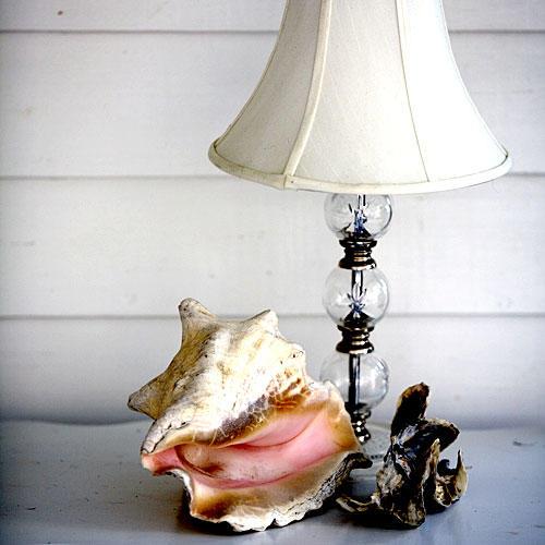 Concha Shell with Lamp
