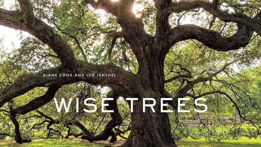 ワイズ Trees by Diane Cook and Len Jenshel