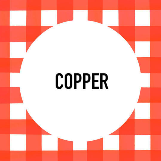 جنوبي Pet Name: Copper 