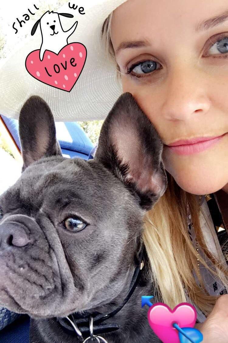 Pimienta The Dog Snapchat Love