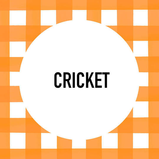 جنوبي Pet Name: Cricket 
