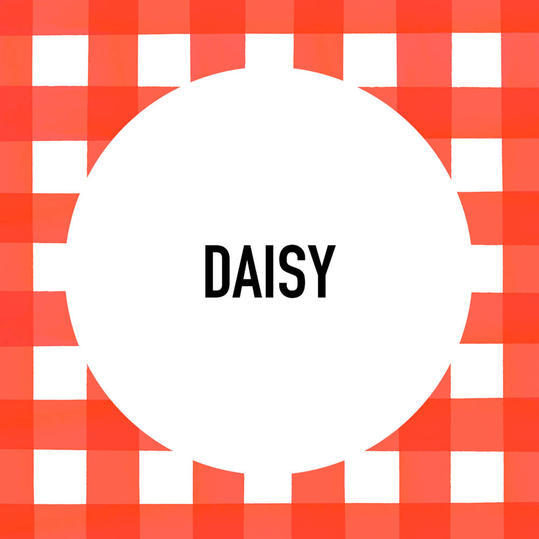 جنوبي Pet Name: Daisy