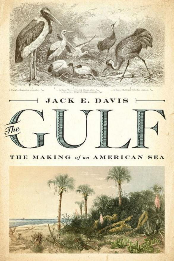 Най- Gulf: The Making of an American Sea by Jack E. Davis