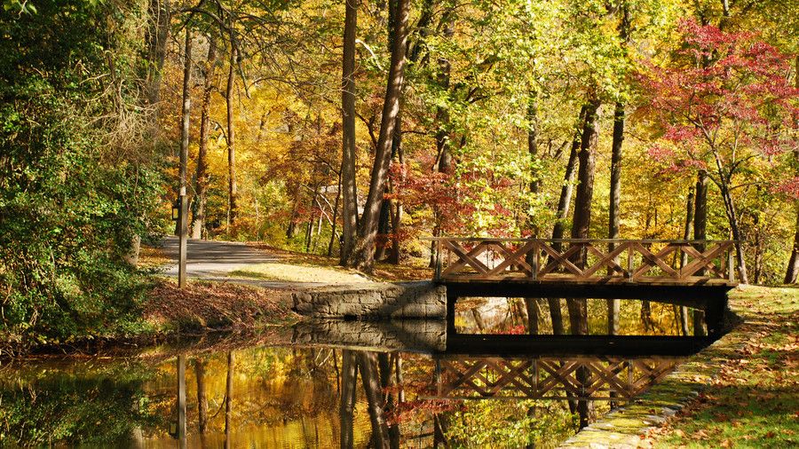 ハグレー、 Delaware Fall Color