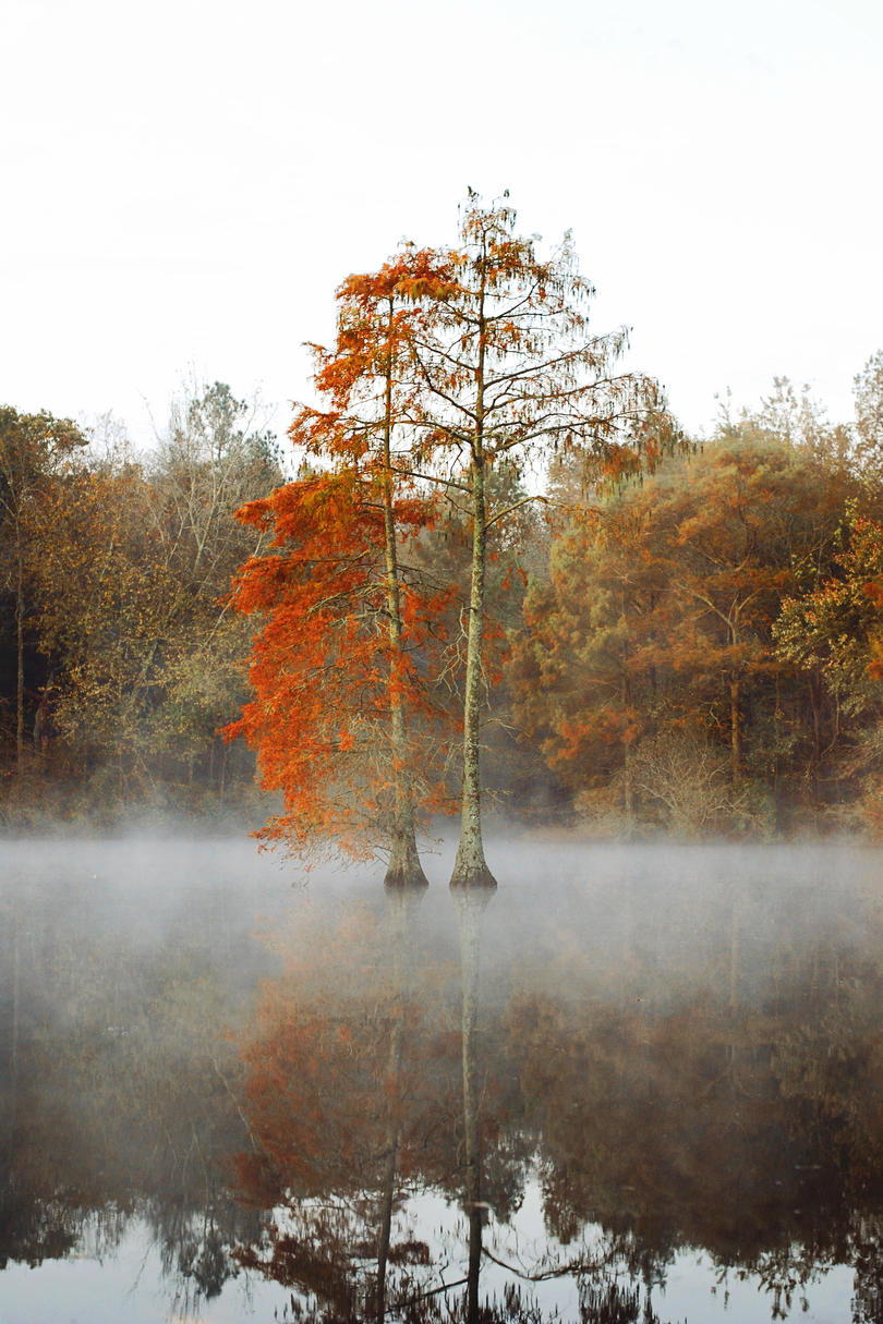 فخ Pond State Park Fall Color
