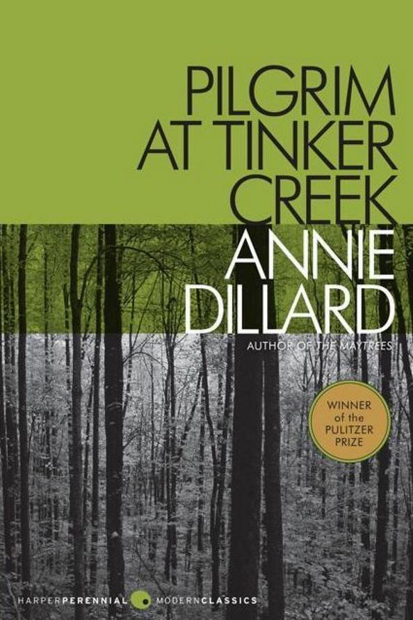 Peregrino at Tinker Creek by Annie Dillard