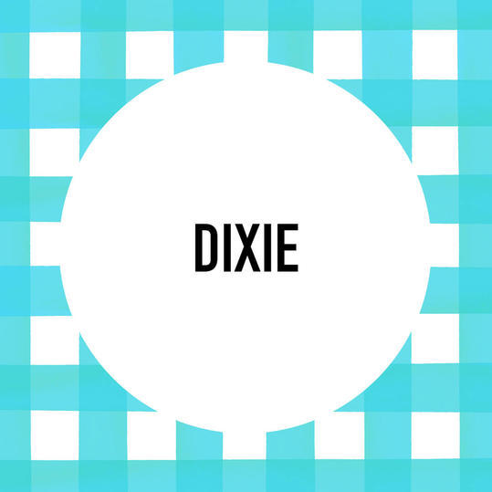 جنوبي Pet Name: Dixie