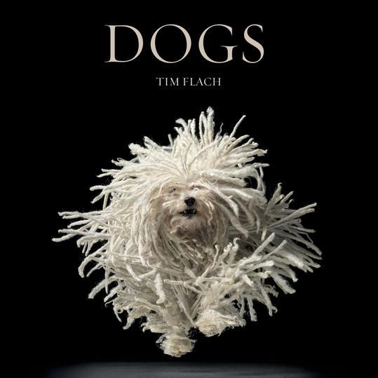 الكلاب by Tim Flach and Lewis Blackwell
