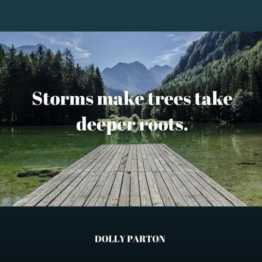 العواصف Make Deeper Roots