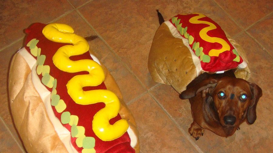 Weeny Dogs