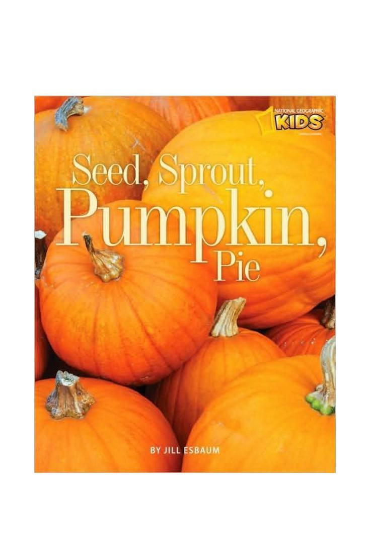بذرة، Sprout, Pumpkin, Pie by Jill Esbaum