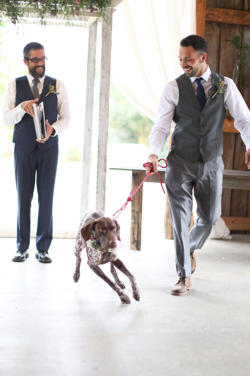 犬 in Wedding groomsman