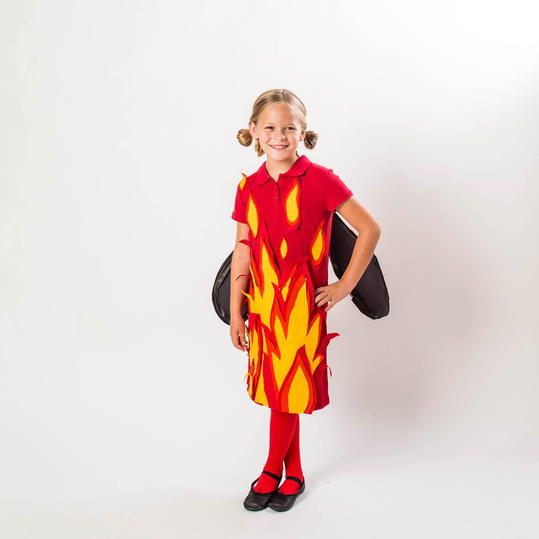 Firefly Costume