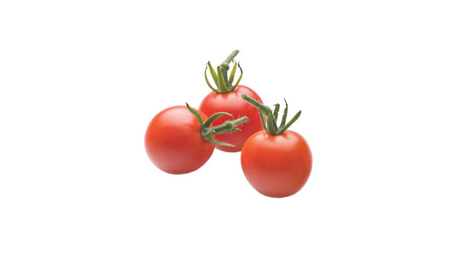 Voksende Tiny, Tasty Tomatoes: ‘Sweet Baby Girl’