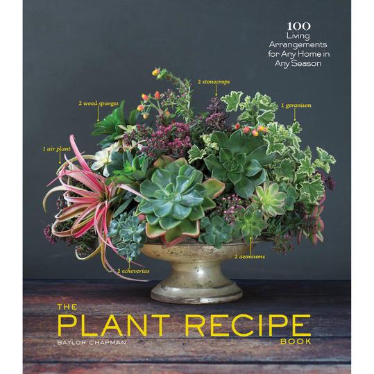 растение Recipe Book