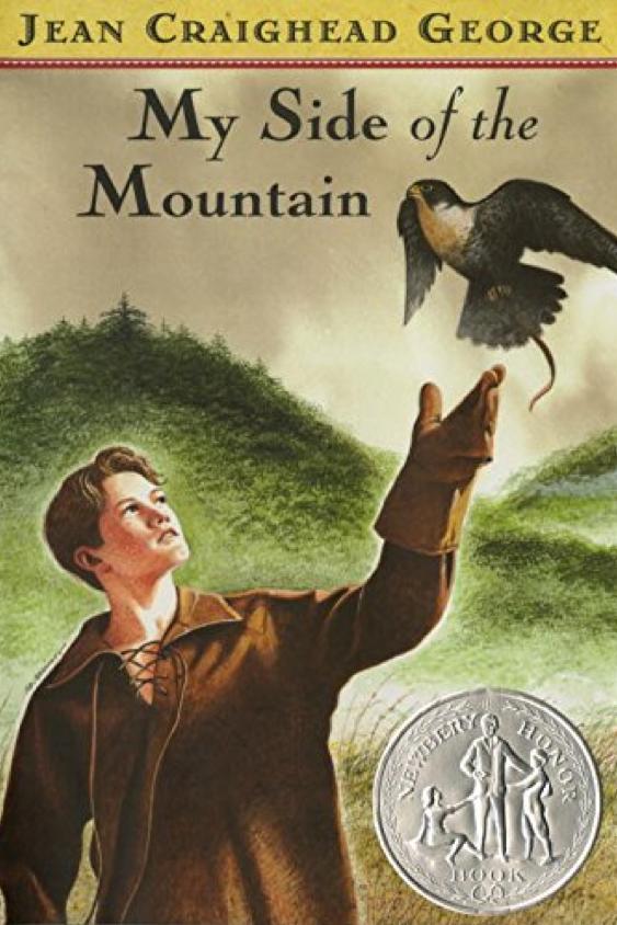 Mi Side of the Mountain by Jean Craighead George