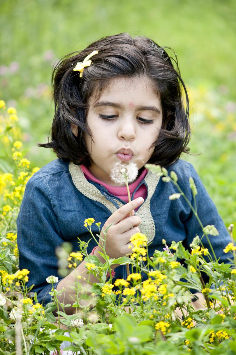 Dívka blowing away dandelions.