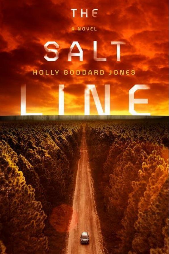 Най- Salt Line by Holly Goddard Jones
