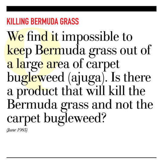 Zabíjení Bermuda Grass