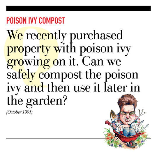 Veneno Ivy Compost