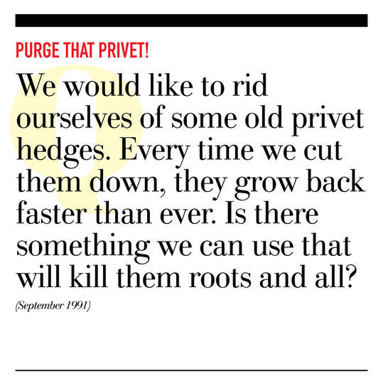Purga That Privet!