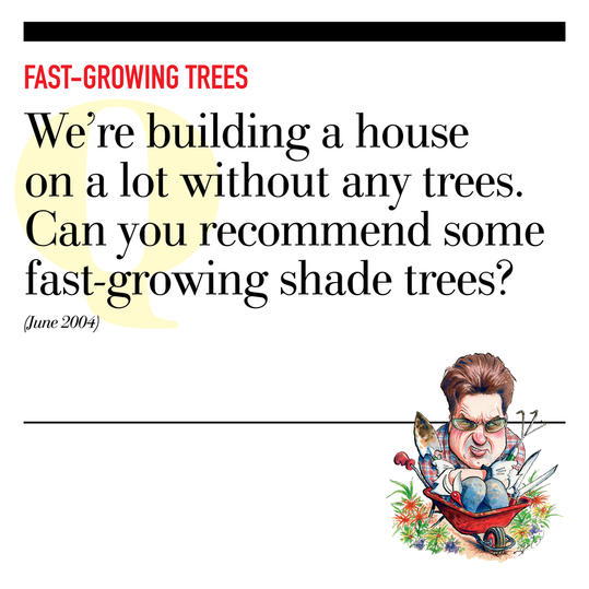 De rápido crecimiento Trees