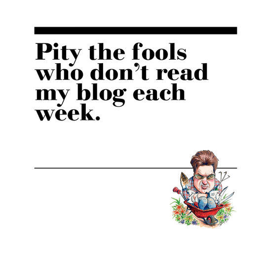 50. Pity the fools who don’t read my blog each week.