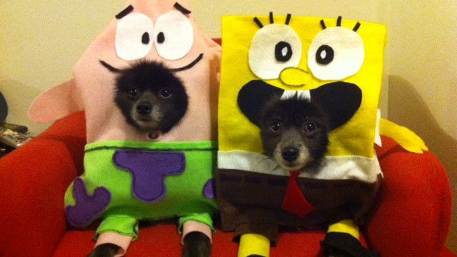 Spongebob Squarepants & Patrick