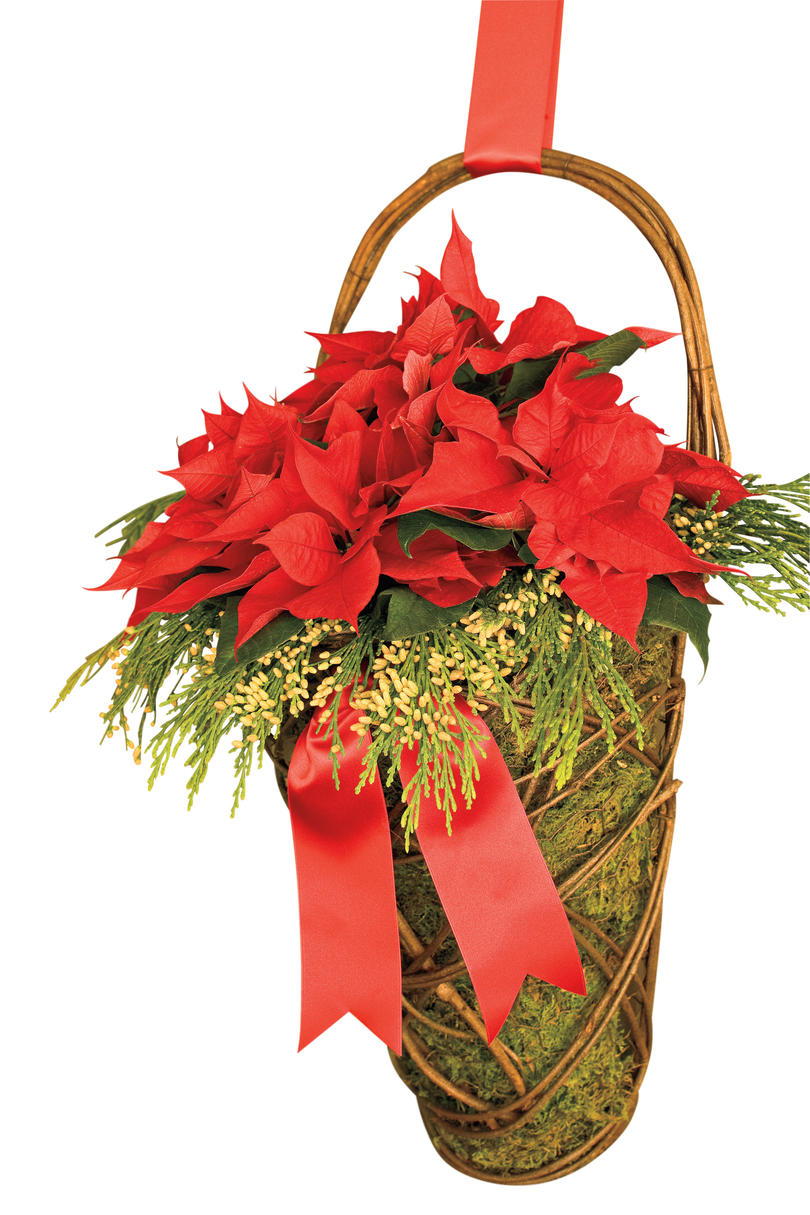 Коледа Decorating Ideas: Poinsettia Moss Basket