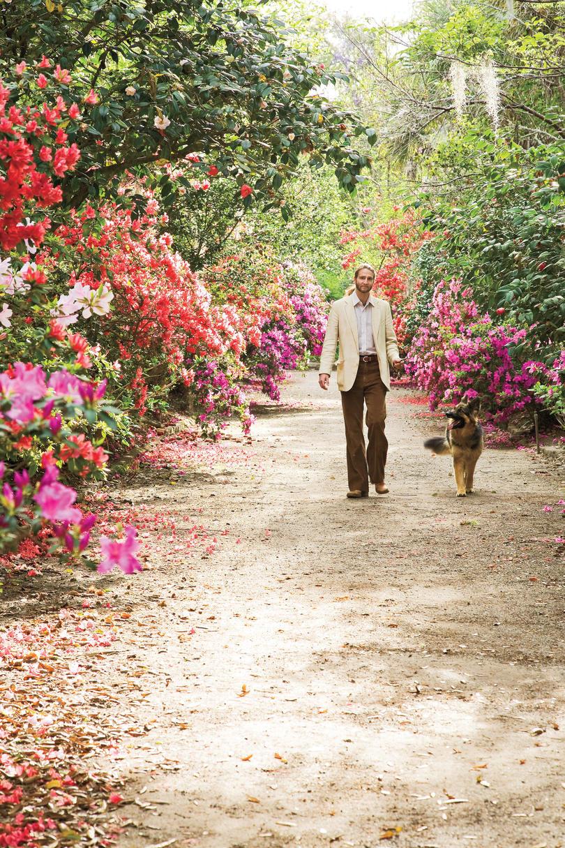 Mand Walking Dog in Garden of Azaleas