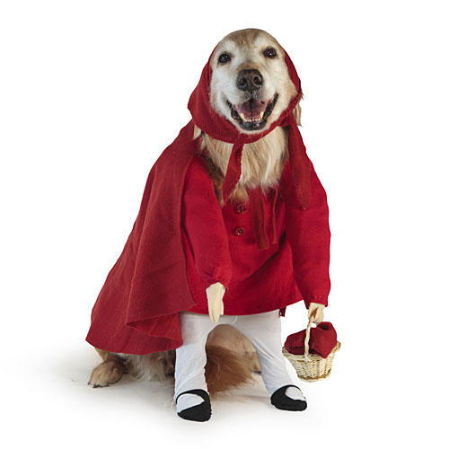 قليل Red Riding Hood