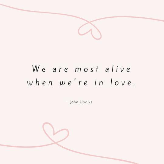ジョン Updike Love Quote