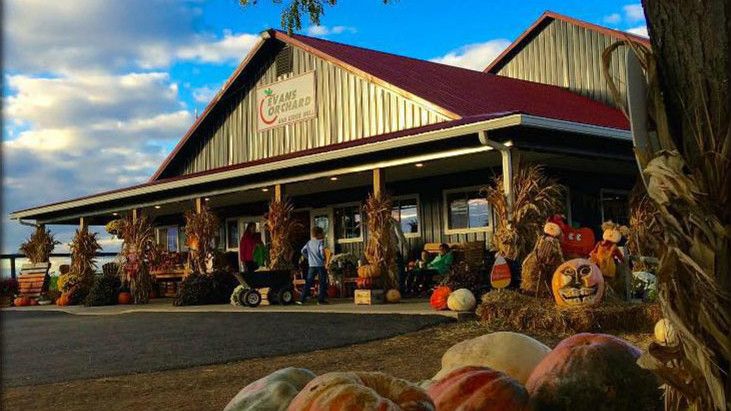 Mejor Pumpkin Patches in Every Southern State Kentucky