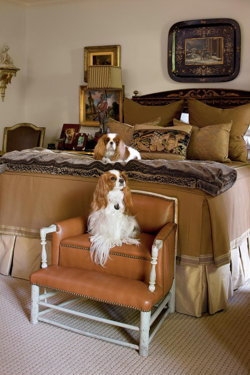 две king charles spaniels on bed