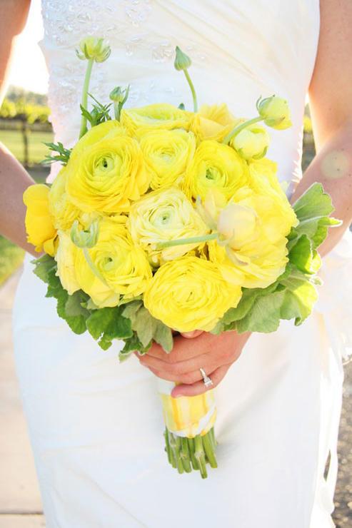 Pryskyřník Wedding Bouquets Radiant