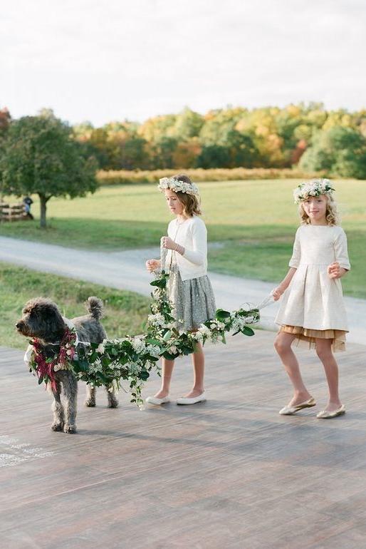 الكلاب in Wedding leash