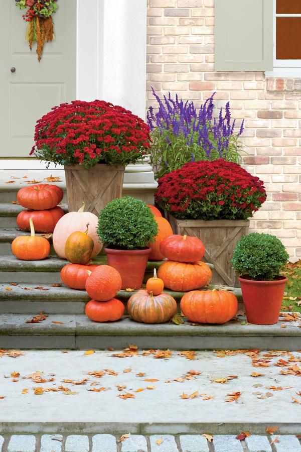 linje Your Porch with Mums