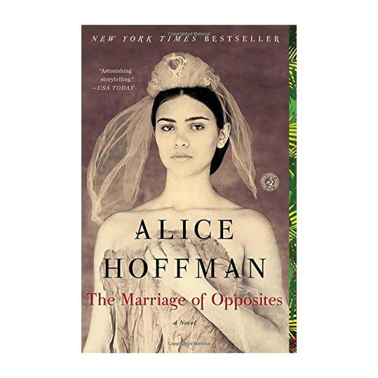Най- Marriage of Opposites by Alice Hoffman