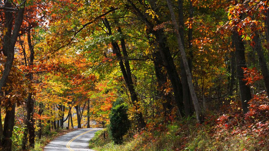 ロック Lodge Road in Garrett County Fall Color