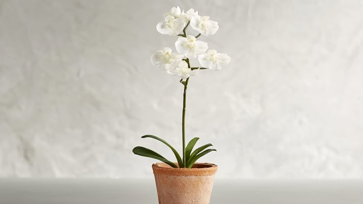 Mini Faux Potted Orchid
